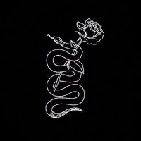 TikTok Account - https://p16-amd-va.tiktokcdn.com/tos-maliva-avt-0068/8c9bbe4f51d83046cf93b267513aafdd~tplv-tiktokx-cropcenter:200:200.jpeg