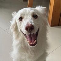 TikTok Account - https://p16-amd-va.tiktokcdn.com/tos-maliva-avt-0068/8d1f304df10f6154d36d5e898abc6748~tplv-tiktokx-cropcenter:200:200.jpeg