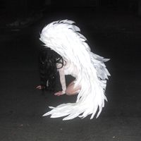 TikTok Account - https://p16-amd-va.tiktokcdn.com/tos-maliva-avt-0068/8d5e84325efa77f3428ae506888dee03~tplv-tiktokx-cropcenter:200:200.jpeg
