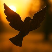 TikTok Account - https://p16-amd-va.tiktokcdn.com/tos-maliva-avt-0068/8f51be7acd201f875f551aff9401fc65~tplv-tiktokx-cropcenter:200:200.jpeg