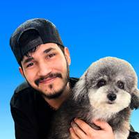 TikTok Account Photo