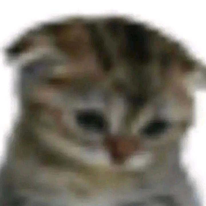 @thef1guy5
