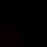 user028916360