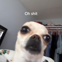 Sound image