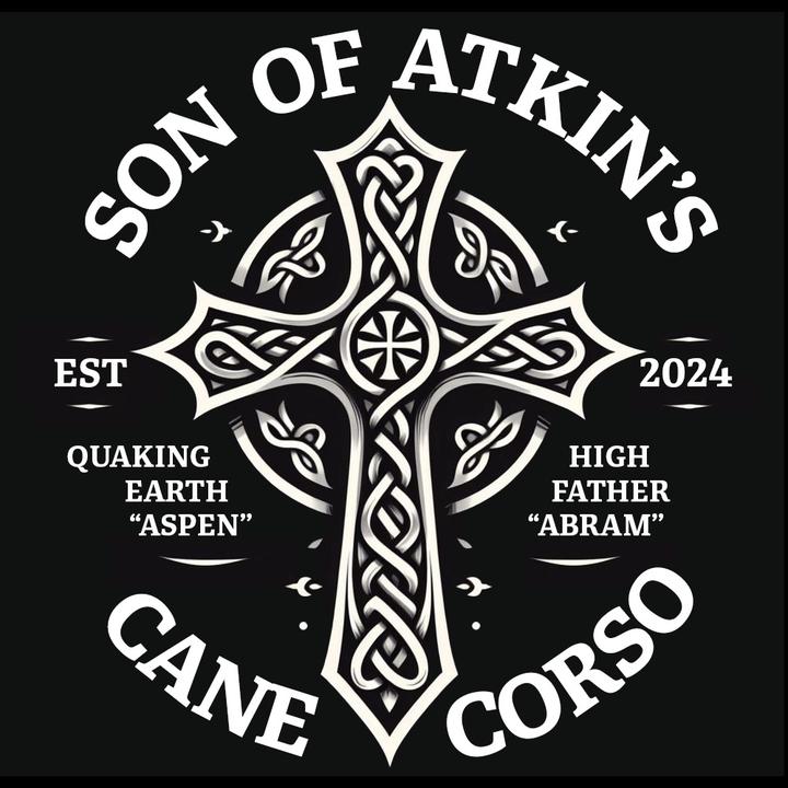 sonofatkinscanecorso