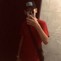 lincolhdiyamel