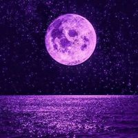 TikTok Account - https://p16-amd-va.tiktokcdn.com/tos-maliva-avt-0068/9284003c89cf9812e4d74a5375686065~tplv-tiktokx-cropcenter:200:200.jpeg