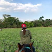 coleo_portuguesa_05