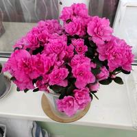 original sound - georgvalya