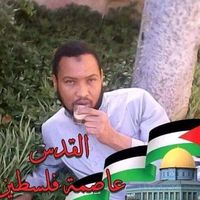 user86009461233195