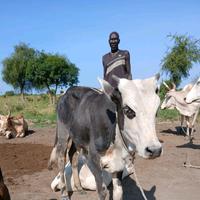 MARDA ACII TOR CI DHANG