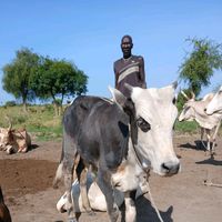 TikTok Account - https://p16-amd-va.tiktokcdn.com/tos-maliva-avt-0068/95a3bed46189889edaabab6e36b29dd4~tplv-tiktokx-cropcenter:200:200.jpeg