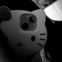 shookysbear18