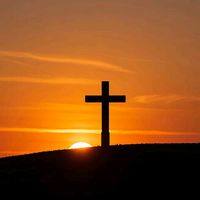 TikTok Account - https://p16-amd-va.tiktokcdn.com/tos-maliva-avt-0068/96842c6d215106c7edccc04863d3ae10~tplv-tiktokx-cropcenter:200:200.jpeg