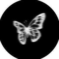 TikTok Account - https://p16-amd-va.tiktokcdn.com/tos-maliva-avt-0068/969524e864480876ec060a0e6b64df42~tplv-tiktokx-cropcenter:200:200.jpeg