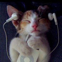 TikTok Account - https://p16-amd-va.tiktokcdn.com/tos-maliva-avt-0068/97e758ca84ce8c54d949df9c3990d0d8~tplv-tiktokx-cropcenter:200:200.jpeg