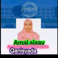 24amaltv