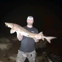 only_finz_fishn_outdoors