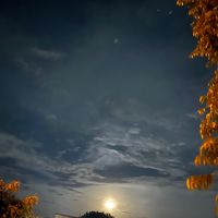 jf_rllk_085