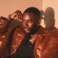 TikTok Account - adekunlegold