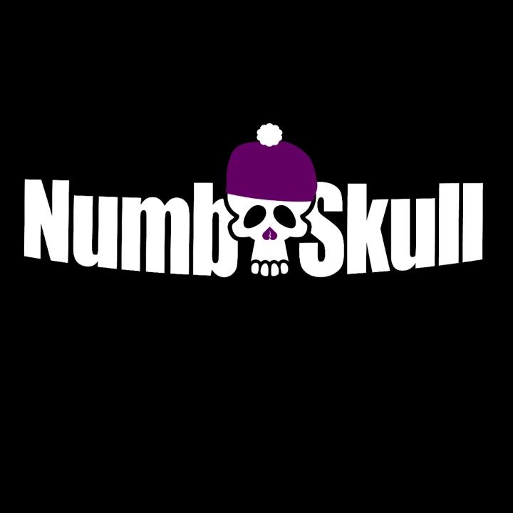 N.S.E❄💀 - original sound - numbskull357