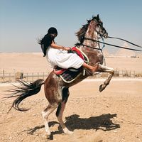 TikTok Account - https://p16-amd-va.tiktokcdn.com/tos-maliva-avt-0068/9ef6f5b18ba60ae3b2cd020a4e3efa3e~tplv-tiktokx-cropcenter:200:200.jpeg