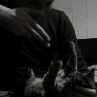 оригинальный звук