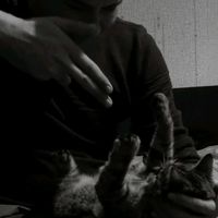 TikTok Account - https://p16-amd-va.tiktokcdn.com/tos-maliva-avt-0068/9f839abe927c6dbc7f6113e98b1d6e52~tplv-tiktokx-cropcenter:200:200.jpeg