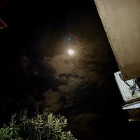 TikTok Account - https://p16-amd-va.tiktokcdn.com/tos-maliva-avt-0068/a117f0a8d3dd595acc24aa8050dfbd04~tplv-tiktokx-cropcenter:200:200.jpeg