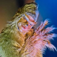 TikTok Account - https://p16-amd-va.tiktokcdn.com/tos-maliva-avt-0068/a1c26fb0d538ab1e31294601a98a02cb~tplv-tiktokx-cropcenter:200:200.jpeg