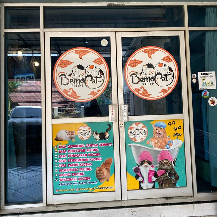 bemo_catshop