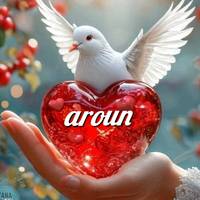 TikTok Account - aroun358