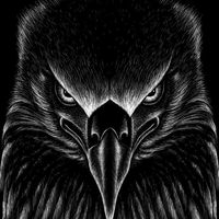 TikTok Account - https://p16-amd-va.tiktokcdn.com/tos-maliva-avt-0068/a43479d3aac13179289a138d60b1253c~tplv-tiktokx-cropcenter:200:200.jpeg