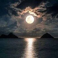 TikTok Account - https://p16-amd-va.tiktokcdn.com/tos-maliva-avt-0068/a4cb1bbf3f91898d02f4b7532fc47d4d~tplv-tiktokx-cropcenter:200:200.jpeg