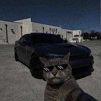 TikTok Account Photo