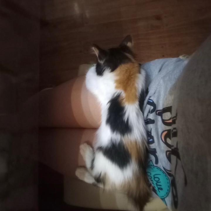 2_titi