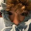 albert.demers - @albert.demers8 - TikTok