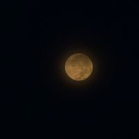 lisa_garcia0907