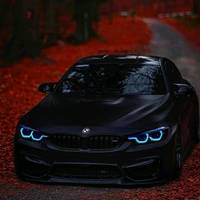 TikTok Account - https://p16-amd-va.tiktokcdn.com/tos-maliva-avt-0068/a70ad8bd1e63ed252f8e3b2f25b2adbf~tplv-tiktokx-cropcenter-q:200:200:q70.jpg