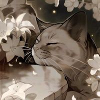 13_riana_13