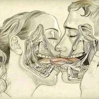 TikTok Account - https://p16-amd-va.tiktokcdn.com/tos-maliva-avt-0068/a750739b34fc46d0430d76f83599aa3f~tplv-tiktokx-cropcenter-q:200:200:q70.jpg