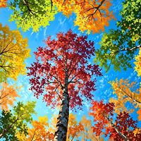 palavrasdabiblia1896