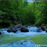 original sound - ethio_classical_music_1