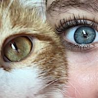 original sound - brayleesedits