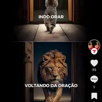 renato_o.tigre.com