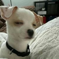 TikTok Account - https://p16-amd-va.tiktokcdn.com/tos-maliva-avt-0068/ad16ba39ab6dcbcd59e1205e069baef6~tplv-tiktokx-cropcenter:200:200.jpeg