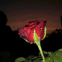 user1990636879061