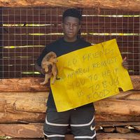 denisdogshealterkassanda