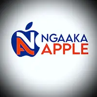 TikTok Account - ngaaka.apple.gambia