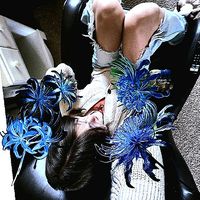 bluespiderlilylover88